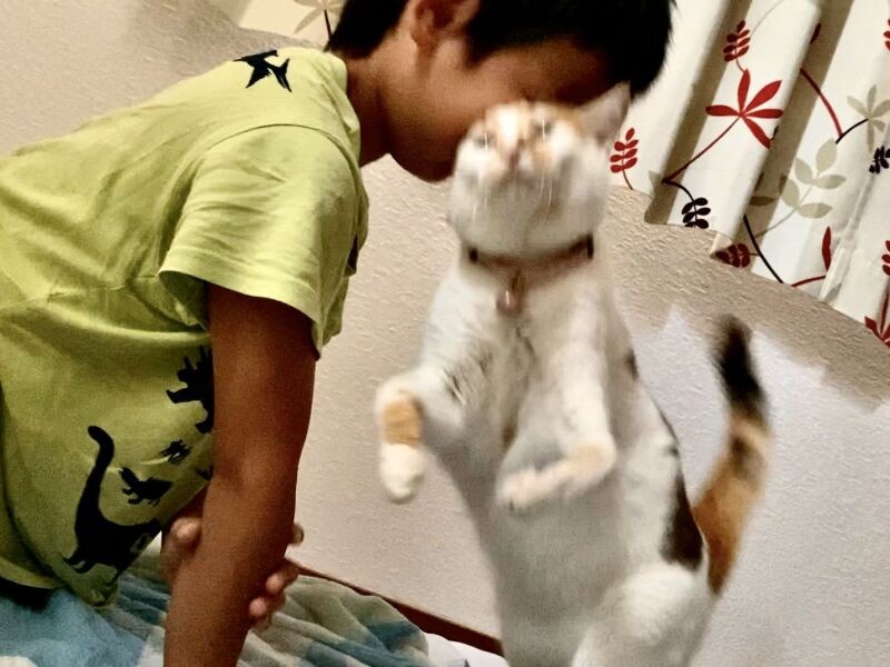 こじくんが起きると、マーズは喜んで頭突きであいさつ!「にゃっはー」(Aさん提供)