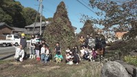 香川・小豆島の冬の風物詩 「芋づるの塔」お目見え 夜間はイルミネーションも
