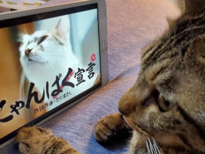 映像で確認しよう