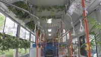 車内が緑でいっぱい!? 両備HDが連休明けの「モヤモヤふっ飛バス」 岡山