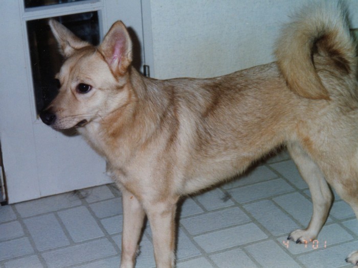 カワイイさくらちゃん