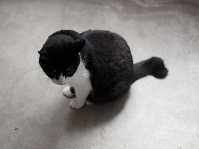 ベランダにて。(小林写函撮影)