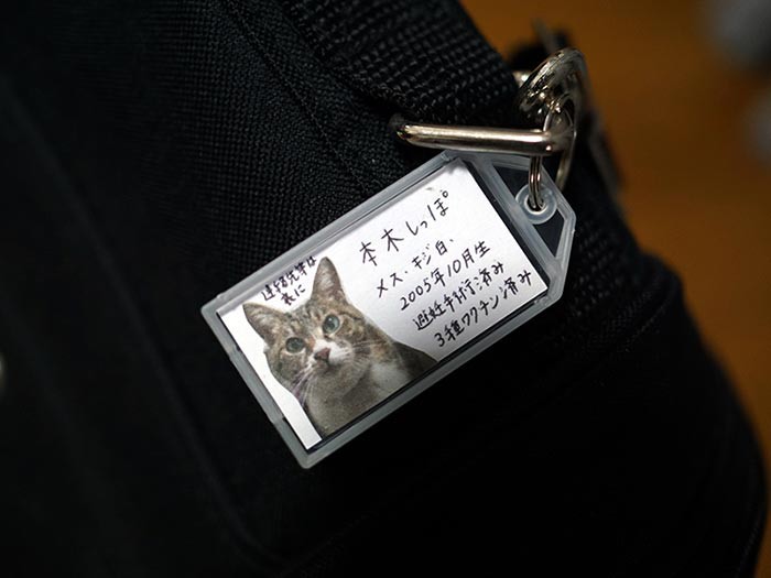 愛猫の情報をまとめたプレートを用意