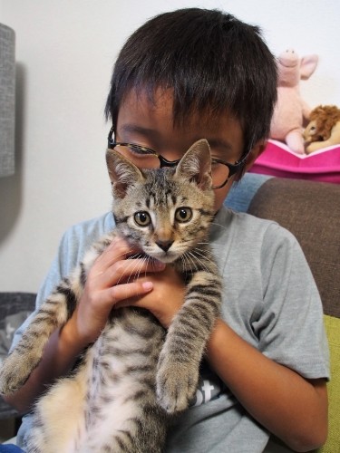 「フク」の名は、みんなで考えた。猫は福を招くから