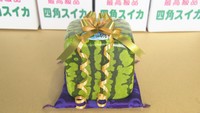 観賞用「四角スイカ」の出荷始まる スイカを飾る座布団とのセットも数量限定販売 香川・善通寺市