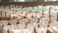環境改善を…長期化する避難所生活 在宅避難者への支援も課題 倉敷