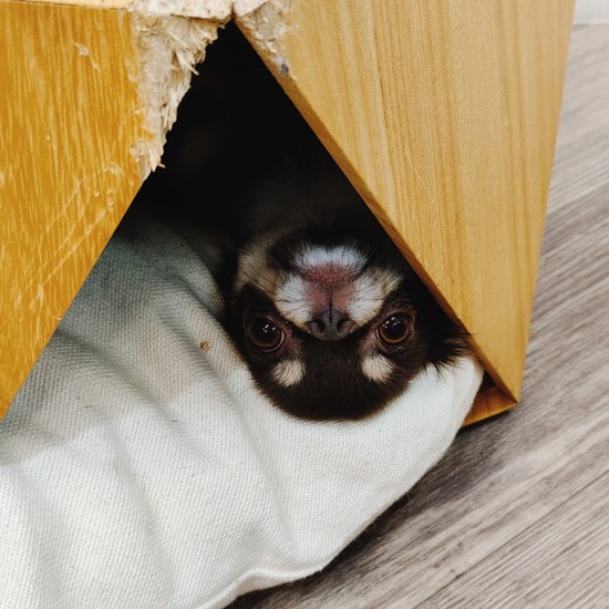 起きてますよー(お母さん提供)