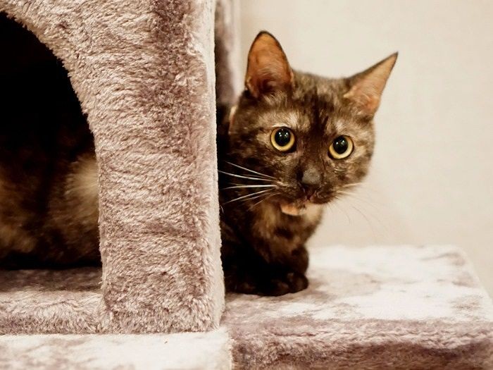 毎日いろんなことが楽しいな