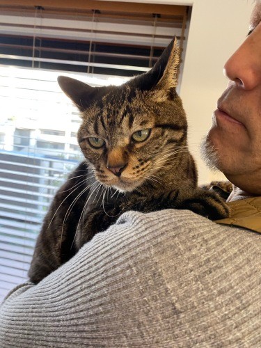 「無事でよかったね」「猫に優しい父ちゃんですBy久太郎」(千鶴子さん提供)