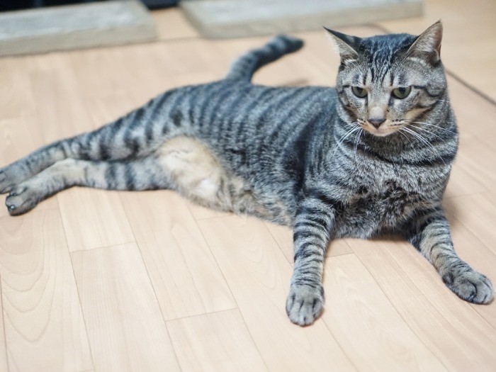 「あー、すっきりした」