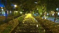 冬の夜を彩る幻想的な明かり 岡山市中心部でイルミネーションイベント