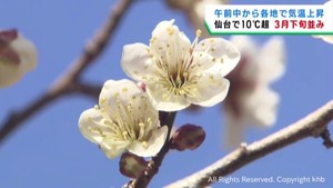 宮城県で気温が上昇 各地で10℃超え 仙台10.9℃