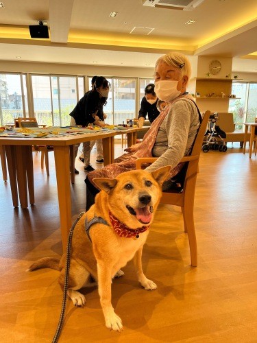 お散歩を続けてもらうため、ハーネスのトレーニングを受けた「フェリー」くんと、飼い主のお母さん(南さん提供)