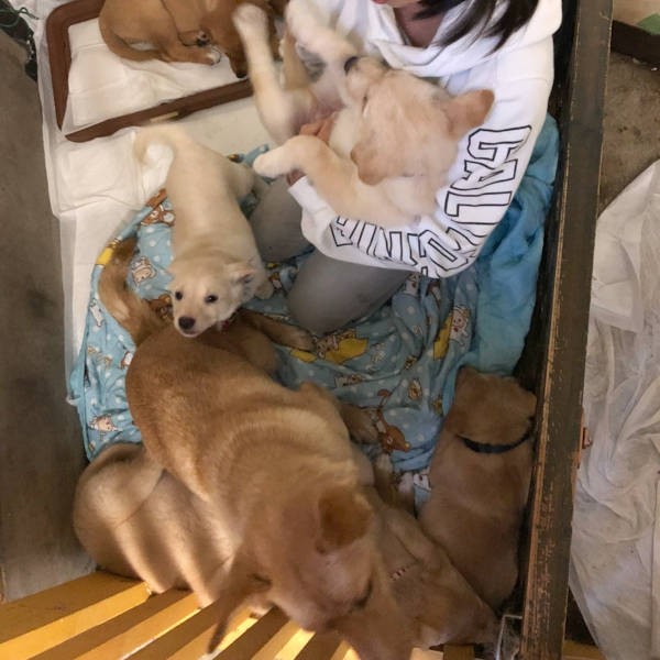 シェルターにはお嬢さんもご一緒するよう(青木さん提供)