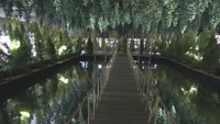 森の芸術祭「次回の開催目指す」 岡山県知事が方針示す 県北部を舞台に延べ52万人余りが来場