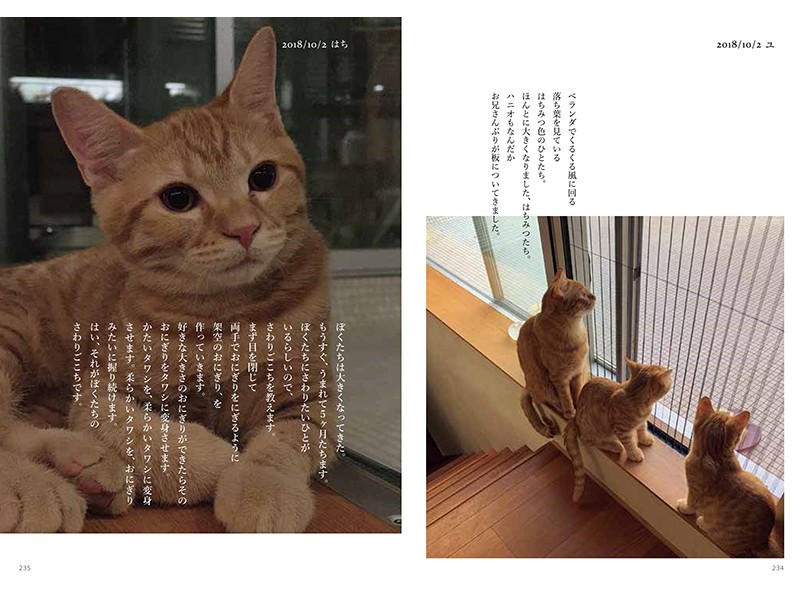 (画像提供元)『ハニオ日記Ⅱ 2018 -2019』