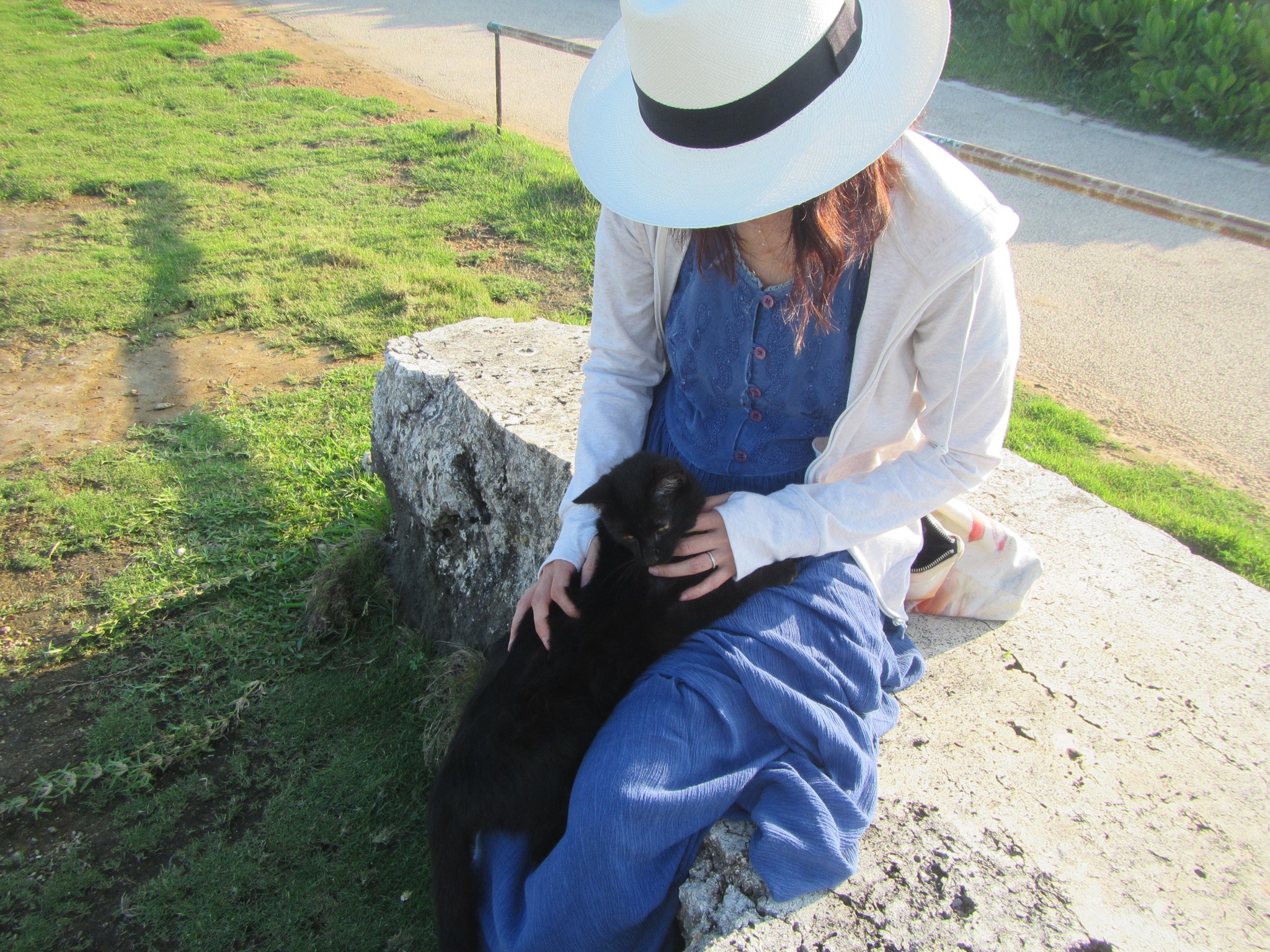 岬の公園で会ったとたんに膝に乗ってきた(綾子さん提供)