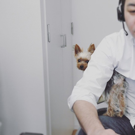 オンラインにひょっこり登場するペットたちに癒やされた方も多いはず。「パパのリモート会議にちゃっかり参加するむーたん。画面越しにみんなから可愛がられて満足げ」