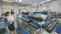 多度津高校「ミニ水族館」 来場者5000人超える 香川