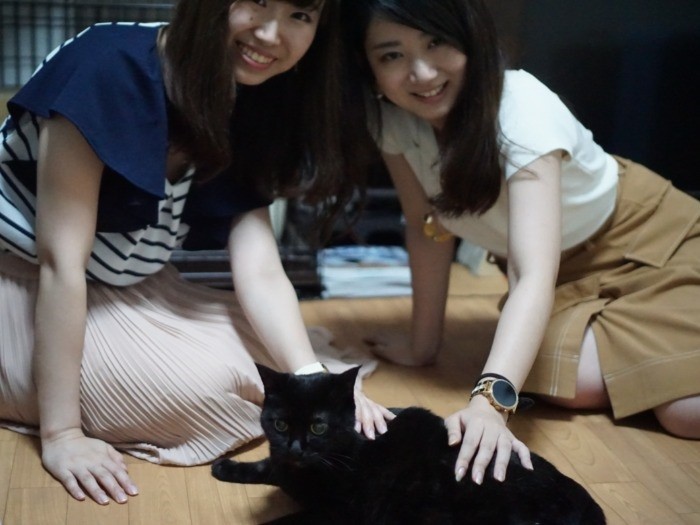 「キジ柄もいいけど黒も可愛いね」「猫のよさ知ってもらってよかった」