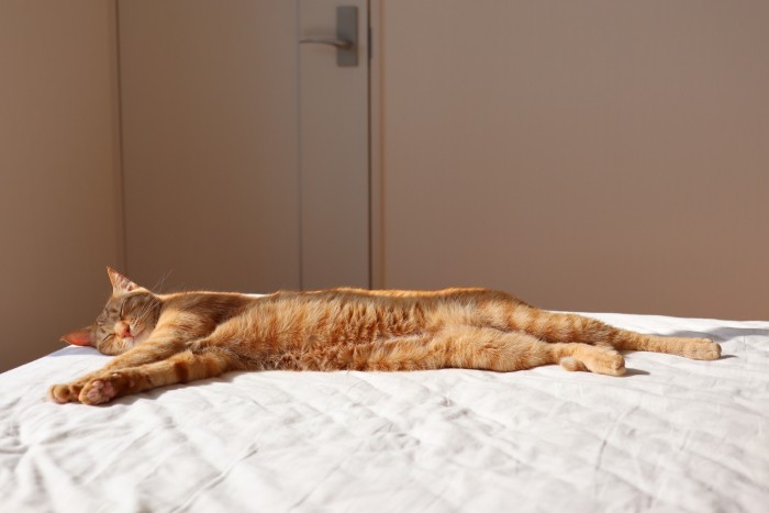 リラックスし過ぎかな