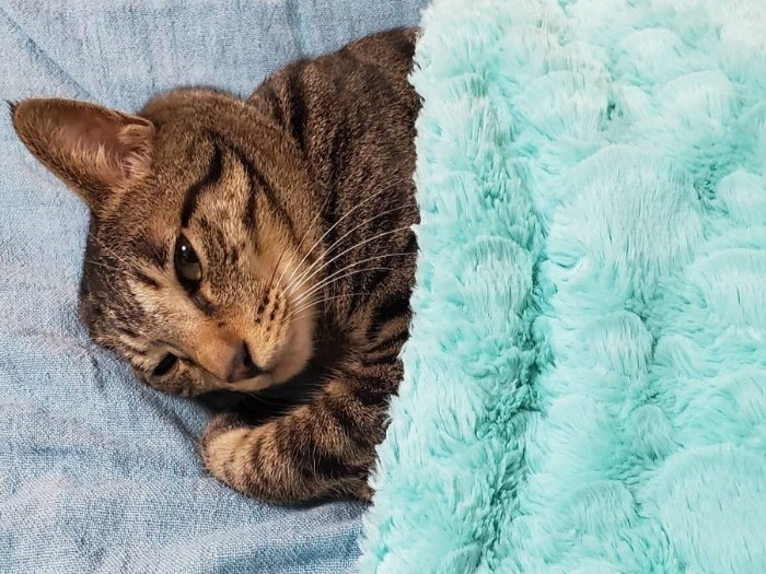 可愛い瞬間はつい撮ってしまう