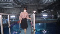 四国水族館のバックヤードをのぞきに行こう!見学ツアーがスタート 香川・宇多津町
