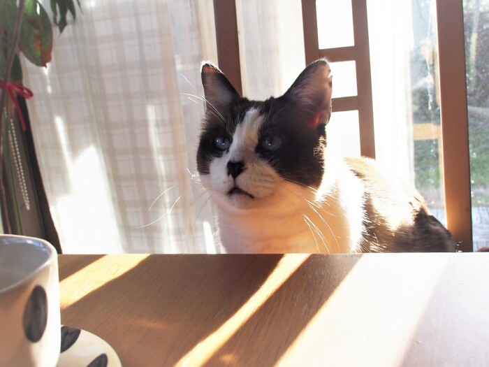 「おやつ、まだ~~?」