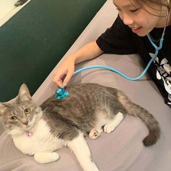 グリとお医者さんごっこをする一華ちゃん。迎えた時は小学6年生、可愛い遊び仲間((優香さん提供)