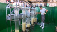 【特集】西日本豪雨で被災したアユの養殖場 岡山生まれのアユを再び川に放つまで