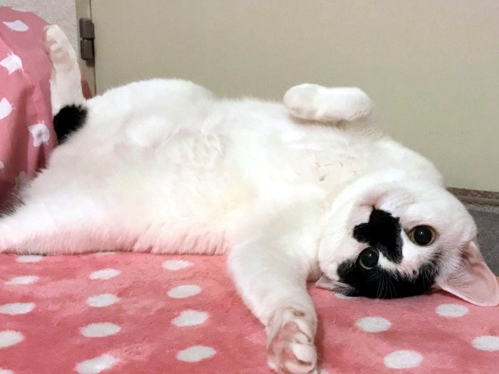 ココ得意のポーズ「私は少しボーイッシュ」