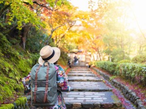 おひとりさまの備え 遺言書を残して寄付や死後事務委任も検討を