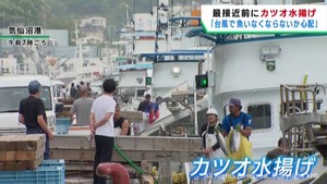 台風7号 気仙沼漁港にカツオ漁船が次々入港 接近前に水揚げを