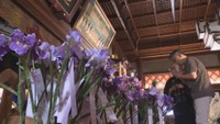 弘法大師・空海の生誕祝う「あやめまつり」 先祖供養の願い込める 香川