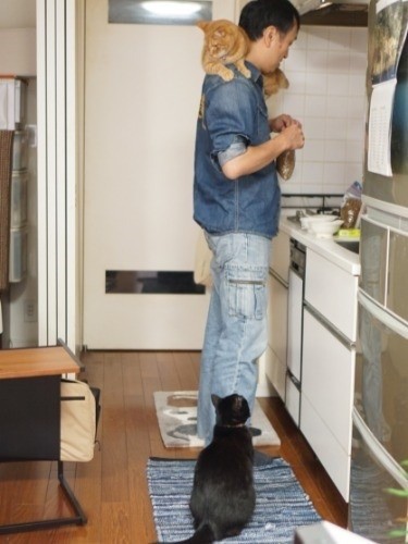 ごはん待ち(足元がくる、肩の上がフク)