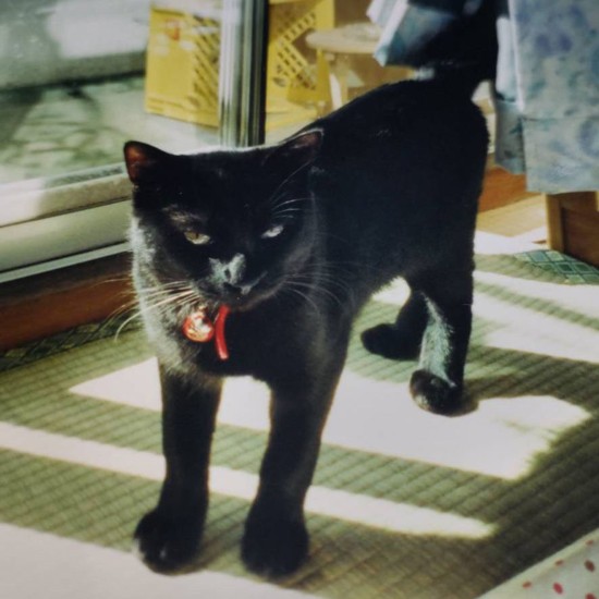 若い頃のサブ「オレ、昔から足が大きかったんだ」(恵子さん提供)