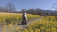 セグウェイに乗って園内散策♪ まんのう公園で「早春フェスタ」 香川