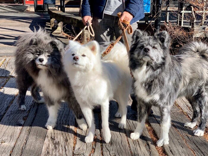 山梨県にいる友だちにも会いに行ったよ