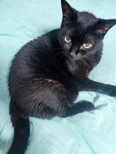 体は小さくなったけど目力はかわらない