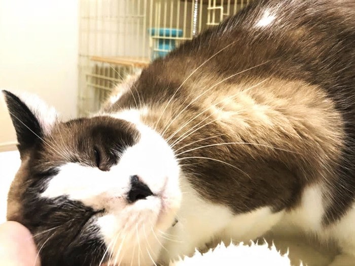 人に甘えることを覚えていく(写真提供笑里さん)