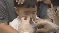 日本初導入 “痛くない”インフルエンザワクチンに注目 鼻の中に噴射して接種 効力は皮下接種より長い約1年