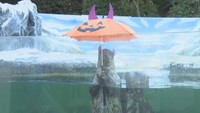 「アザラシ」のカップルが相合傘 今だけハロウィンバージョンに 香川・新屋島水族館