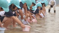 瀬戸内海の資源を守ろう 園児がタケノコメバルの稚魚を放流 紙芝居を使った環境教室も 香川・小豆島町