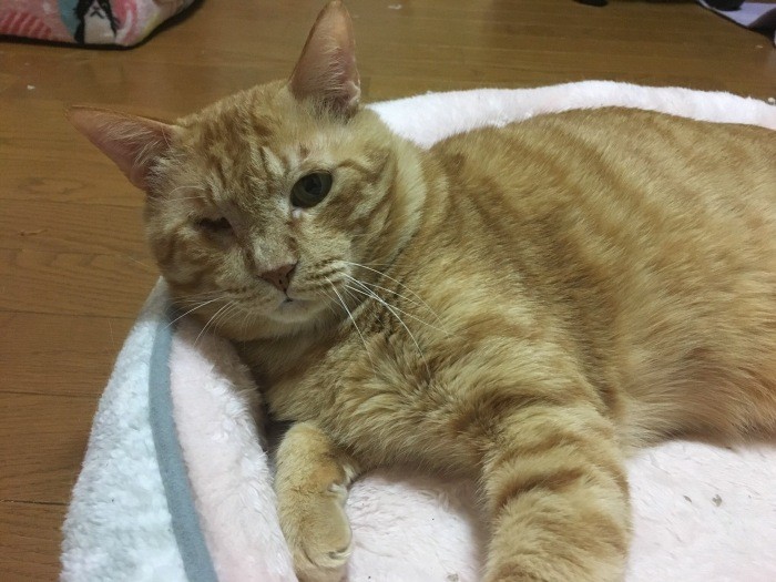 リラックスして休む