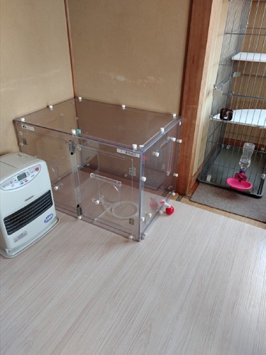 動物病院から借りている酸素ルーム。具体が悪い猫がいる場合はスタッフが泊まり込みで看病をするそう