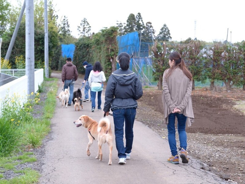 ドッグトレーナーと共にお散歩へ。自然豊かな場所ならではのトレーニング