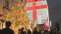 岡山市中心部にクリスマスイルミネーション登場 2024年はサンタとトナカイも!