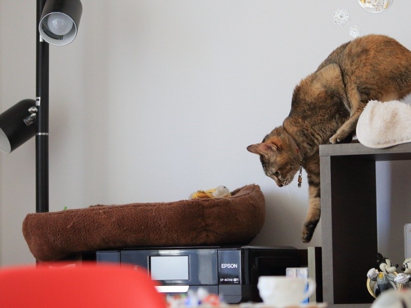 降りるのもゆっくりな「あたし」