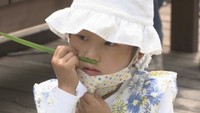 5月5日は端午の節句 爽やかな香り「ショウブ」の観察会 岡山・倉敷市