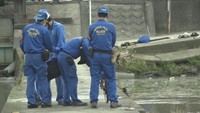 岡山県で降り続く雨 川に転落し男性死亡 高梁市では7月観測史上最大の大雨